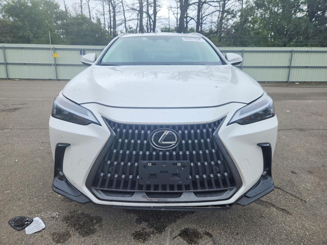 2025 LEXUS NX 350 BASE — Фото 5 из 12