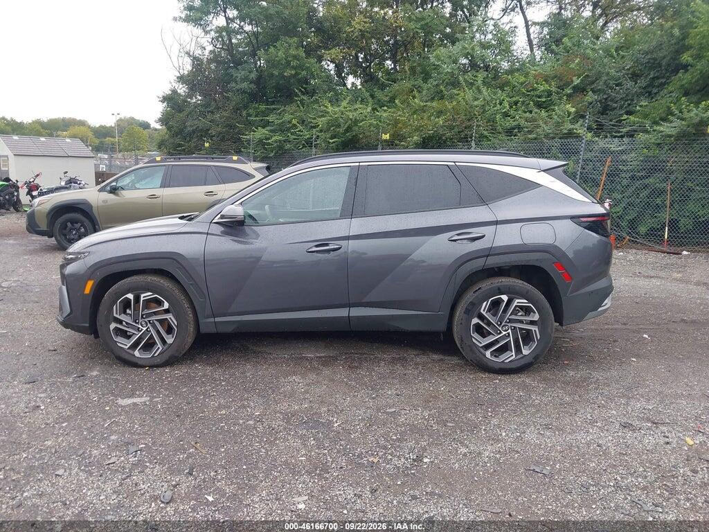 2025 HYUNDAI TUCSON HYBRID LIMITED — Фото 15 из 16