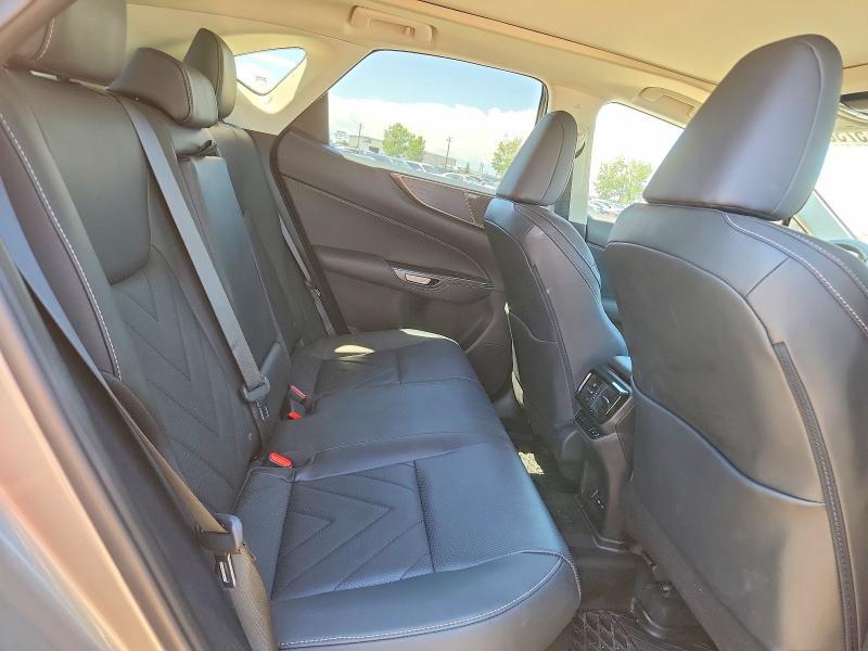 2024 LEXUS NX 350H PREMIUM — Фото 11 из 13