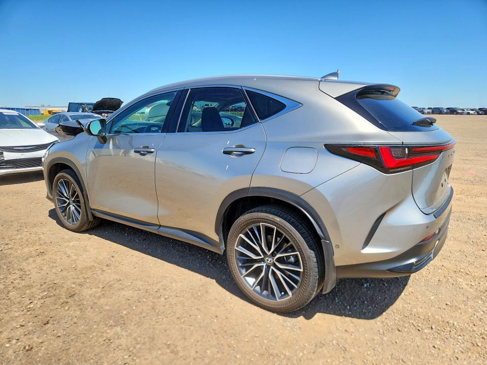 2024 LEXUS NX 350H PREMIUM — Фото 2 из 13