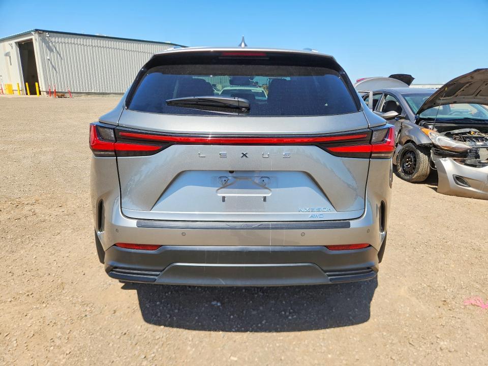 2024 LEXUS NX 350H PREMIUM — Фото 6 из 13