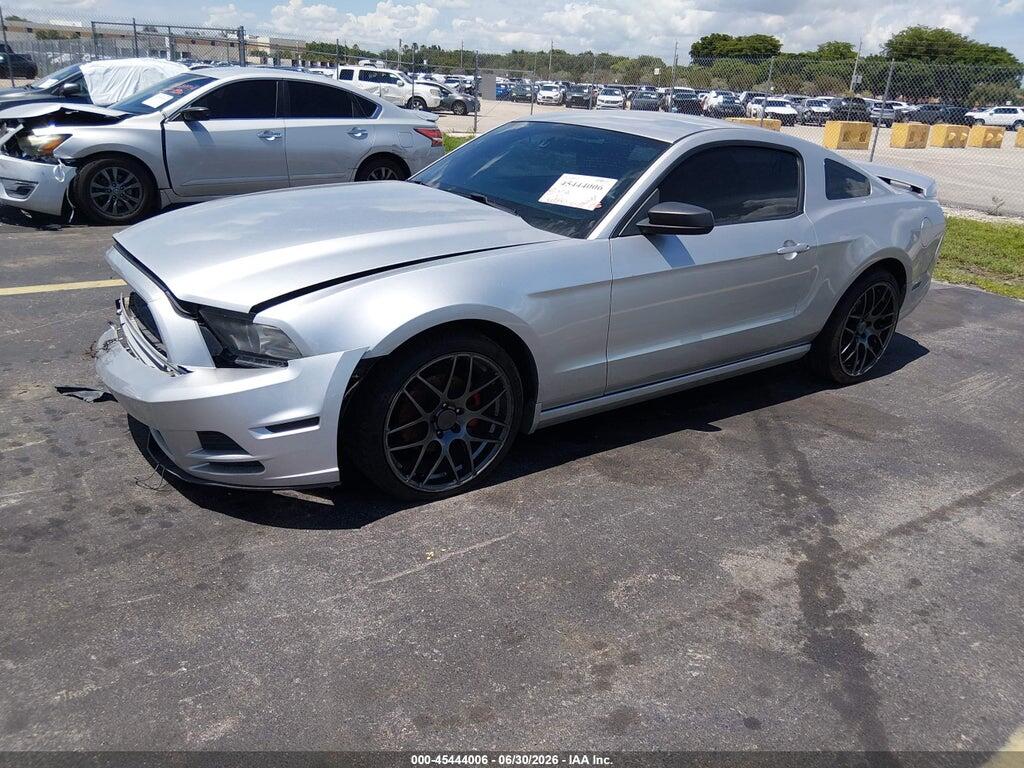 1ZVBP8AM7E5259015 2014 FORD MUSTANG photo no. 2