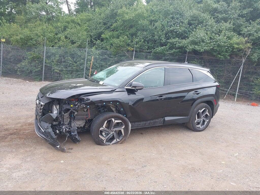 KM8JECD16RU199891 2024 HYUNDAI TUCSON HYBRID photo no. 6