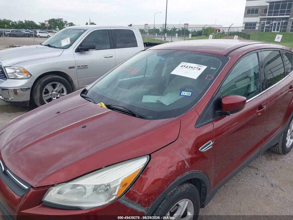 1FMCU0GX3EUA61617 2014 FORD ESCAPE photo no. 6