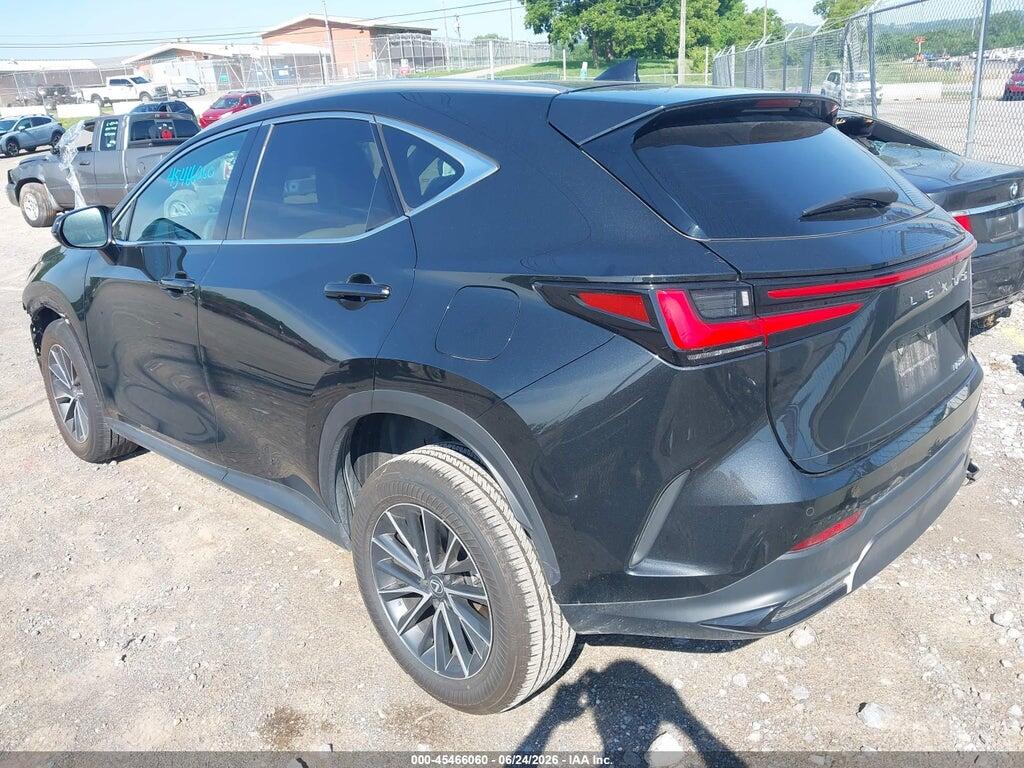 2T2GDCAZXRC011359 2024 LEXUS NX 250 photo no. 3