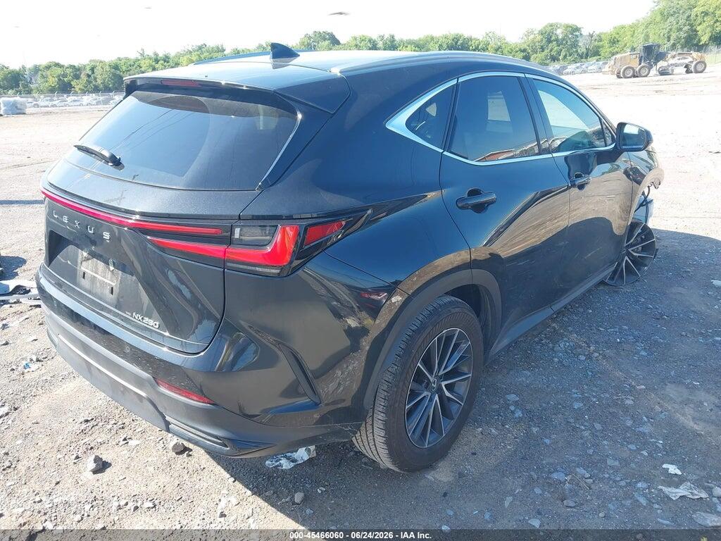 2T2GDCAZXRC011359 2024 LEXUS NX 250 photo no. 4