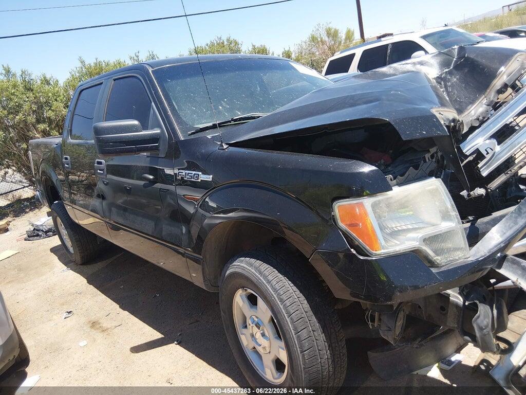1FTFW1EF9DKE41048 2013 FORD F-150 photo no. 12