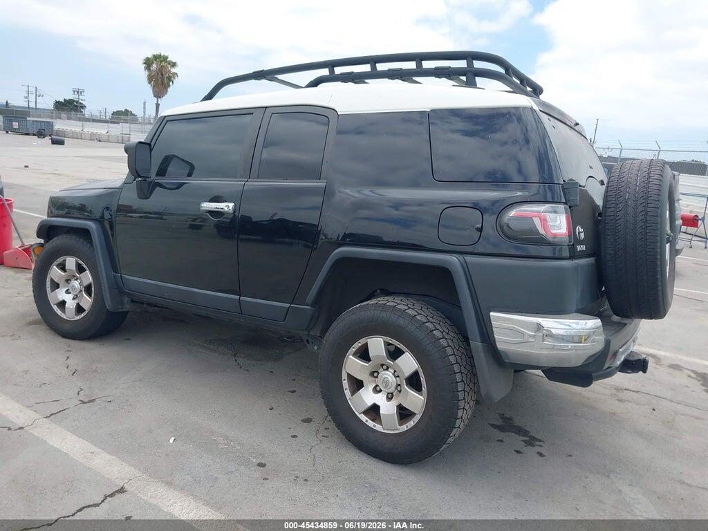 JTEBU4BF3AK079798 2010 TOYOTA FJ CRUISER photo no. 3