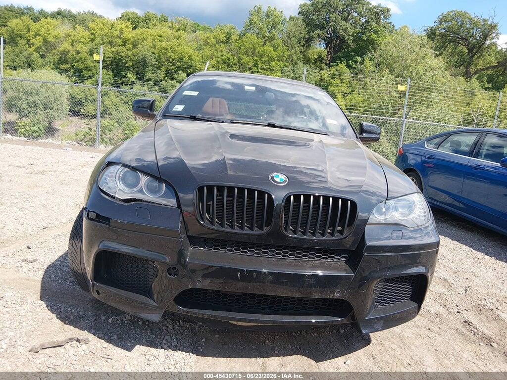 5YMGZ0C51D0C40105 2013 BMW X6 M photo no. 12