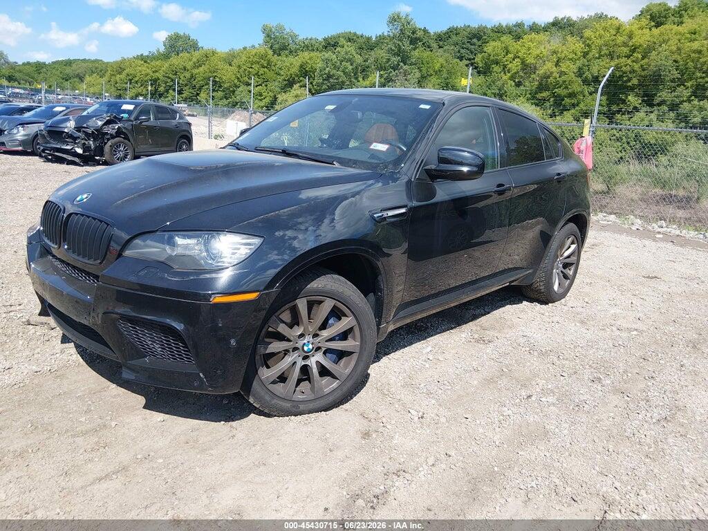5YMGZ0C51D0C40105 2013 BMW X6 M photo no. 2