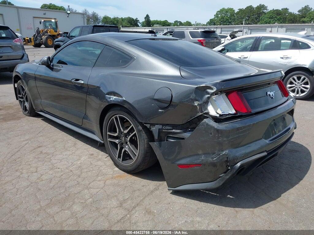 1FA6P8TH5K5129501 2019 FORD MUSTANG photo no. 3