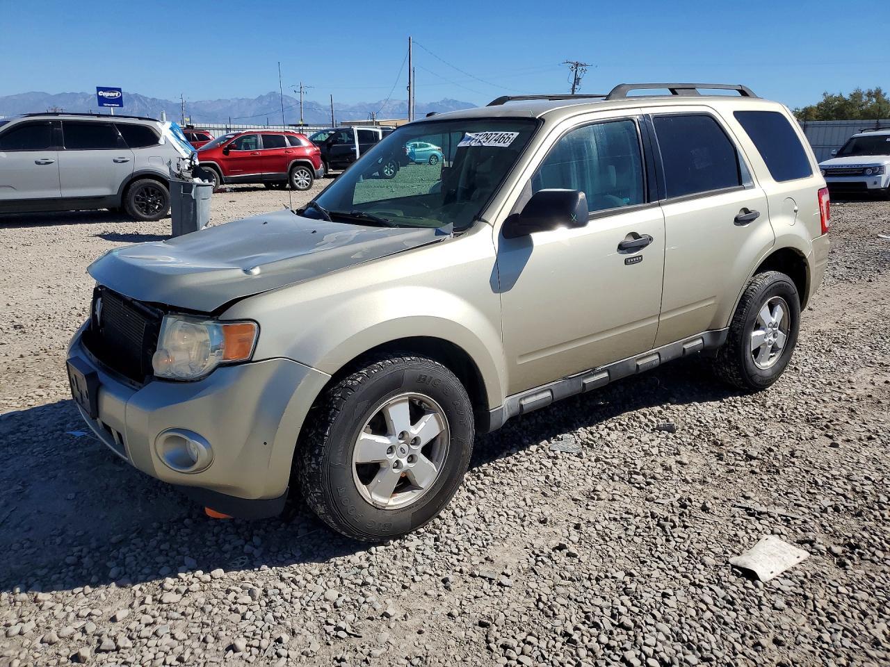 2010 FORD ESCAPE XLT