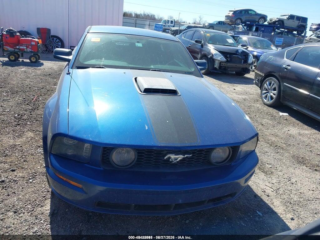 1ZVFT82H565190955 2006 FORD MUSTANG photo no. 12