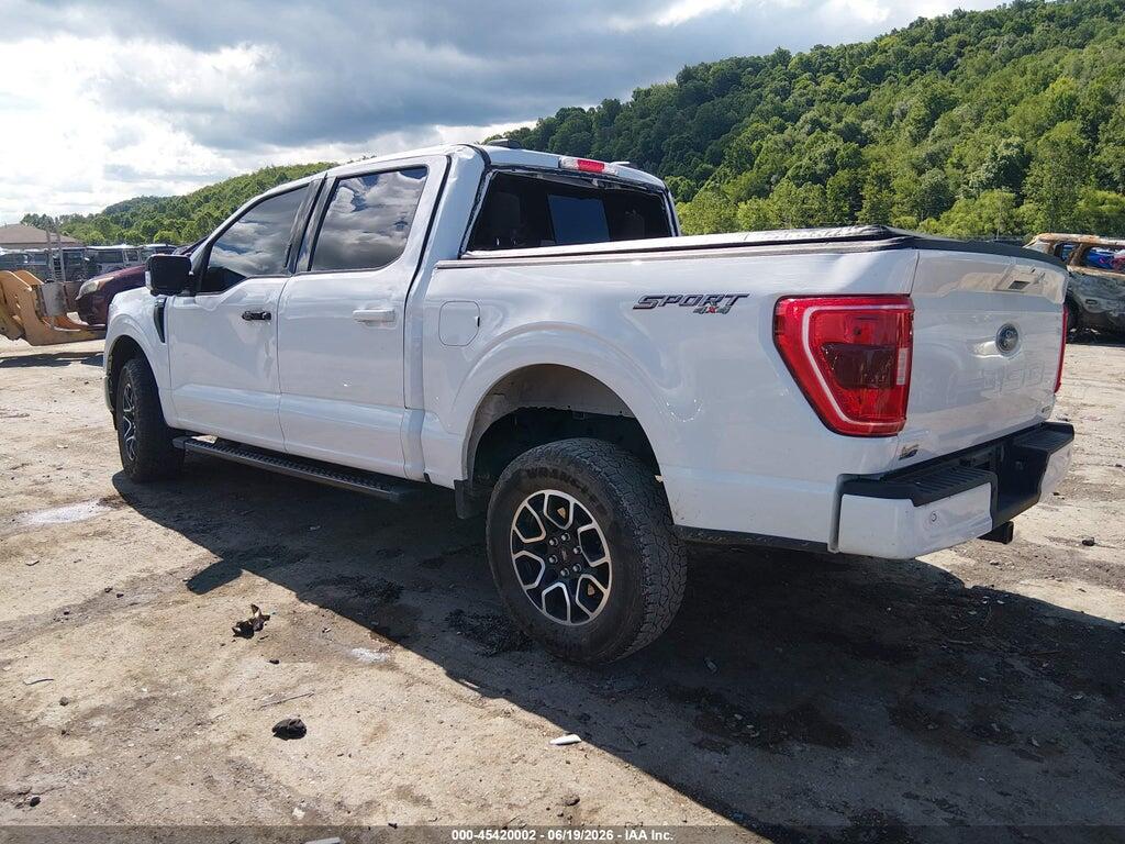 1FTFW1E89PFC16370 2023 FORD F-150 photo no. 3