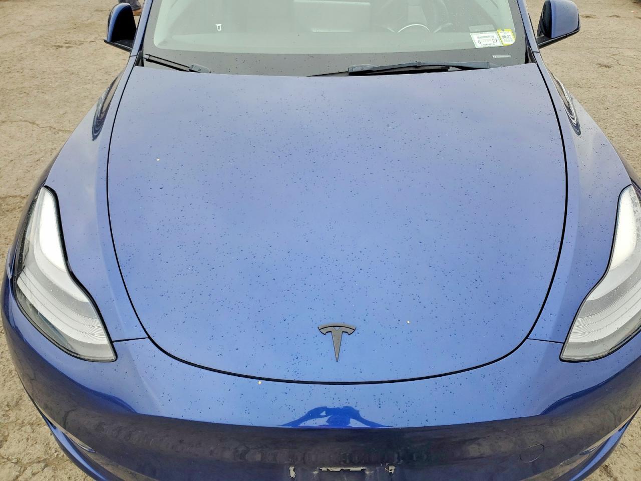 2023 TESLA MODEL Y — Фото 11 из 12