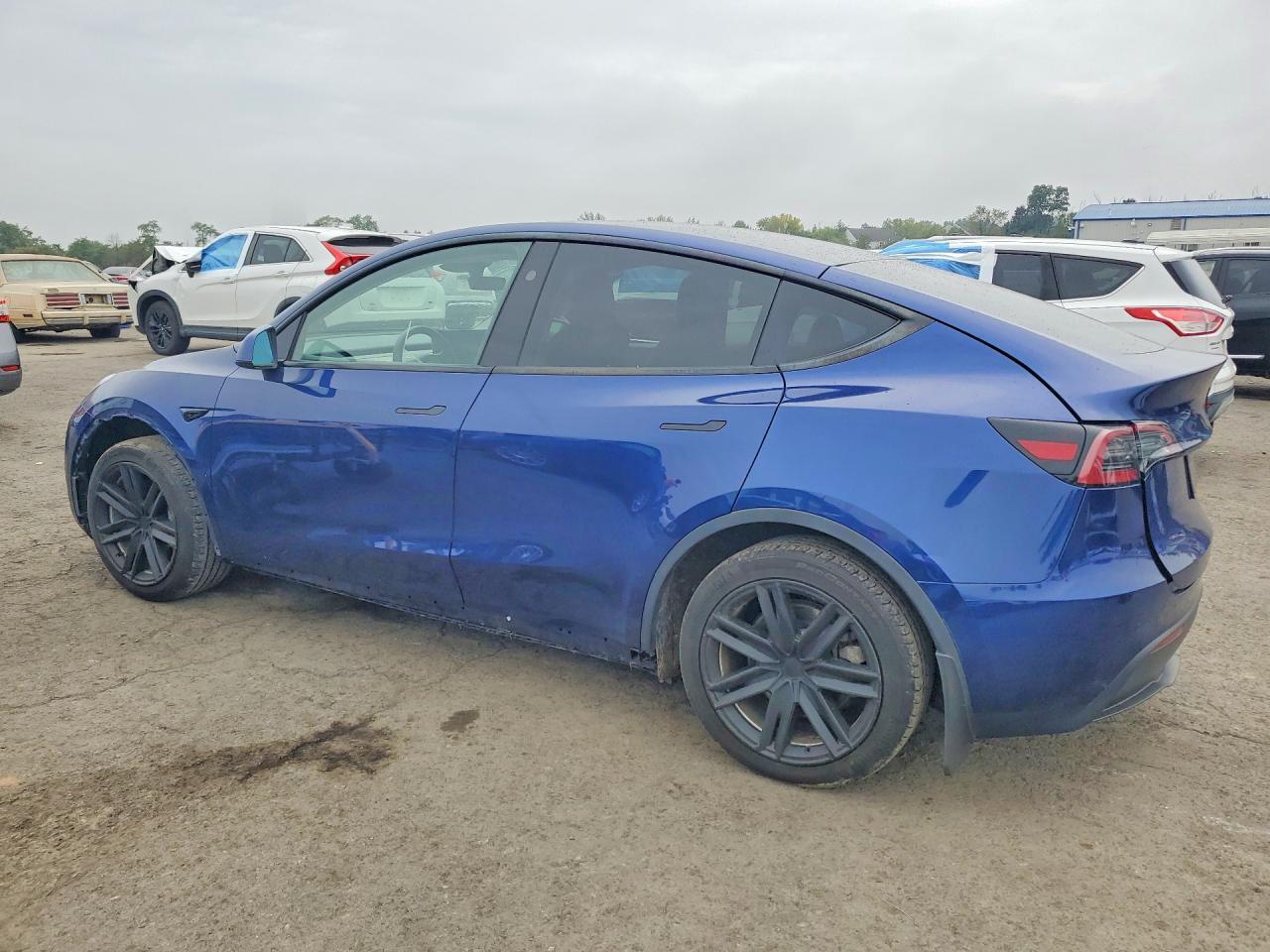 2023 TESLA MODEL Y — Фото 2 из 12