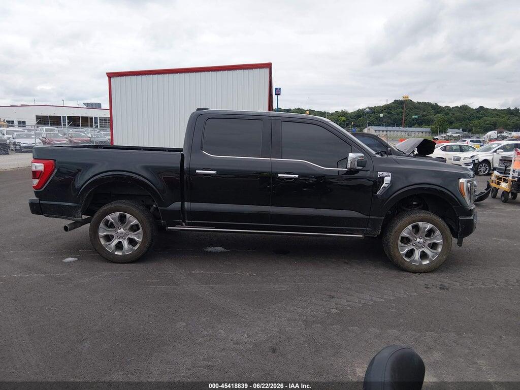 1FTFW1E81PFA40267 2023 FORD F-150 photo no. 12