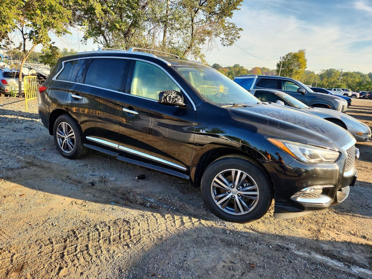 2019 INFINITI QX60 LUXE — Фото 4 из 13