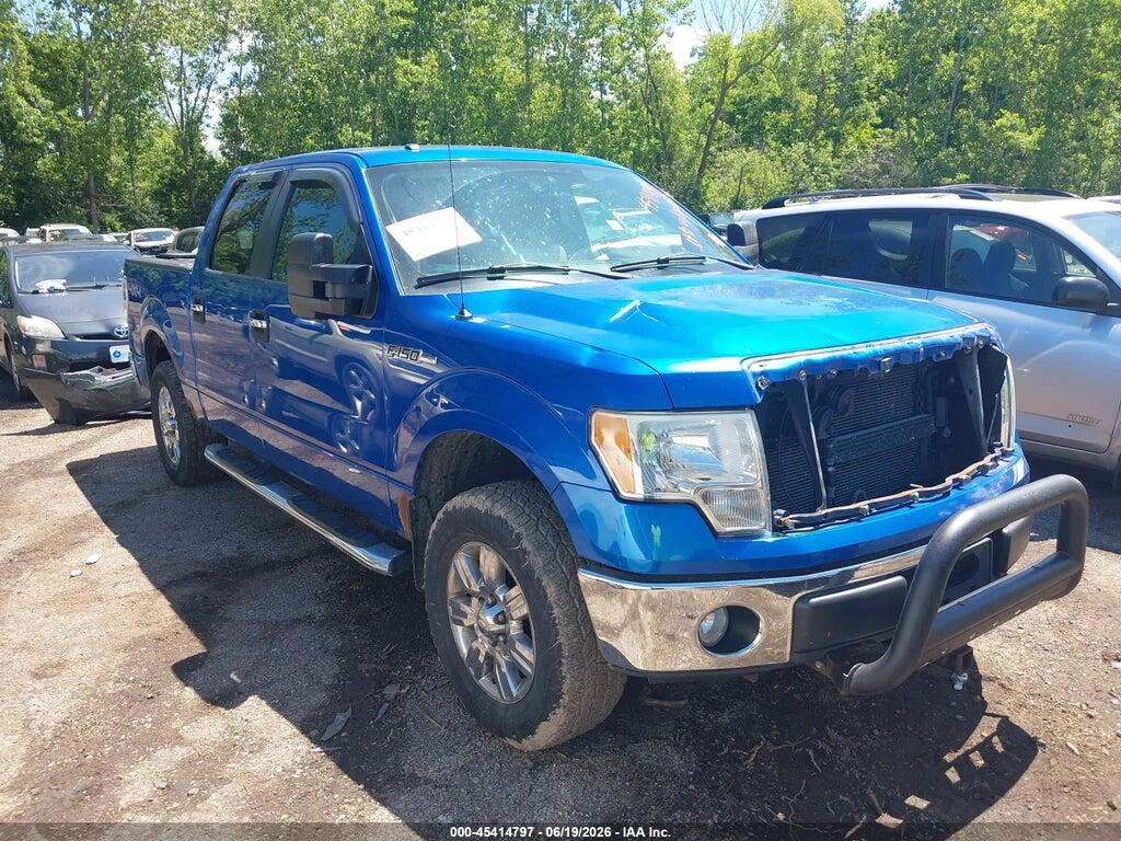 1FTEW1E86AFD75589 2010 FORD F-150 photo no. 1
