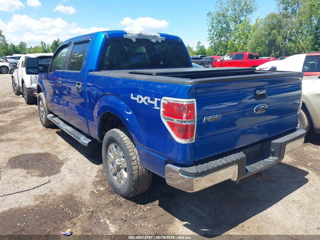 1FTEW1E86AFD75589 2010 FORD F-150 photo no. 3