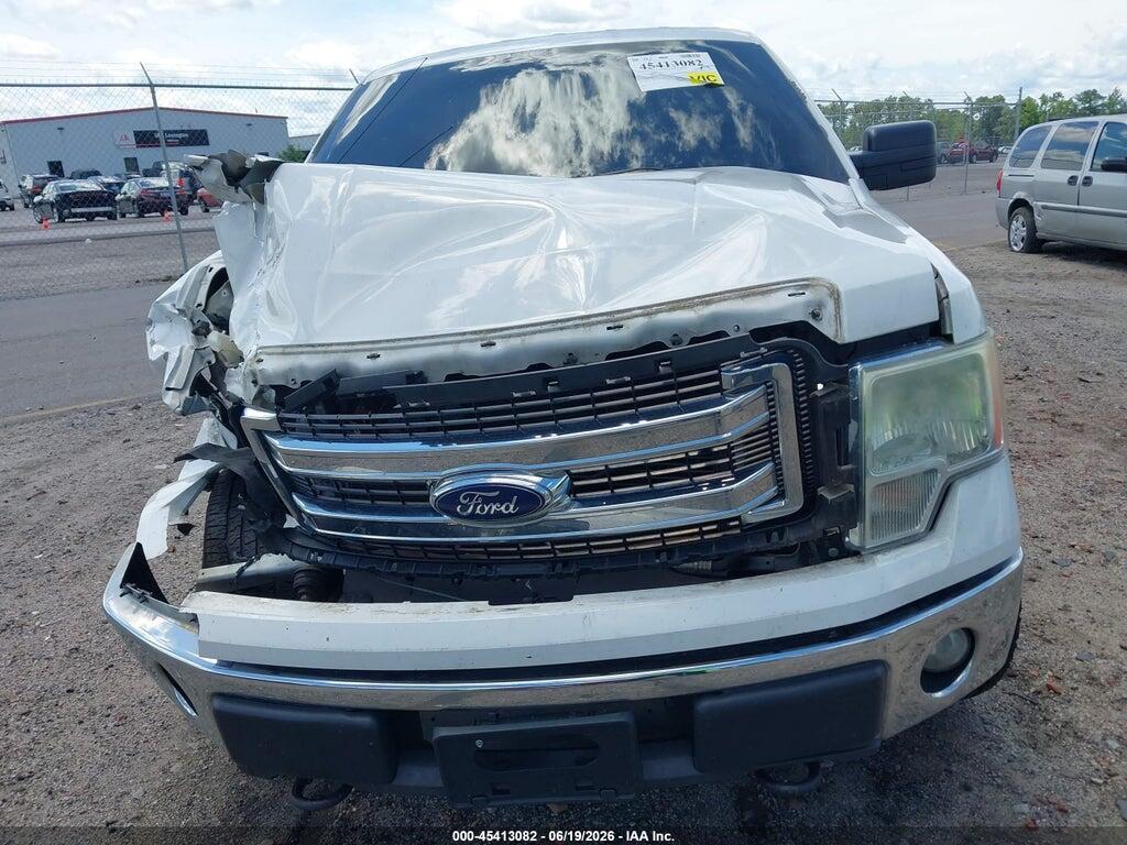 1FTFX1EFXDFD70190 2013 FORD F-150 photo no. 12