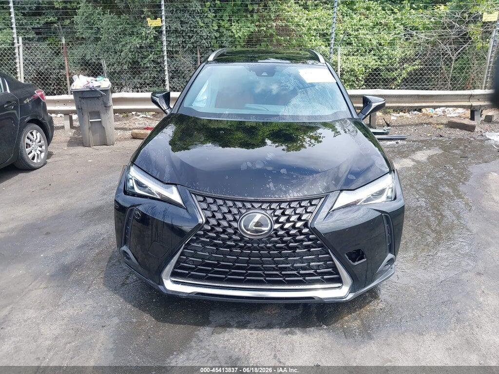 JTHY3JBH2K2016256 2019 LEXUS UX 200 photo no. 12