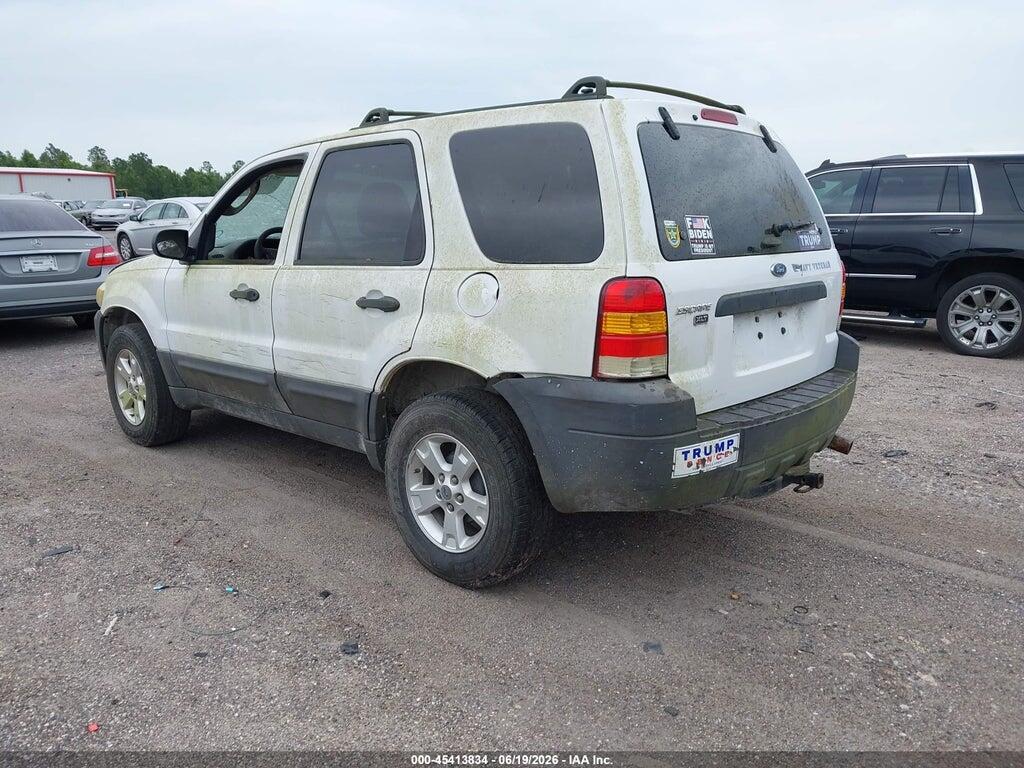 1FMYU03Z67KA60747 2007 FORD ESCAPE photo no. 3