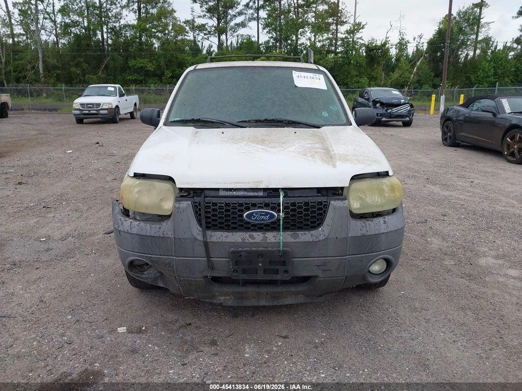 1FMYU03Z67KA60747 2007 FORD ESCAPE photo no. 6