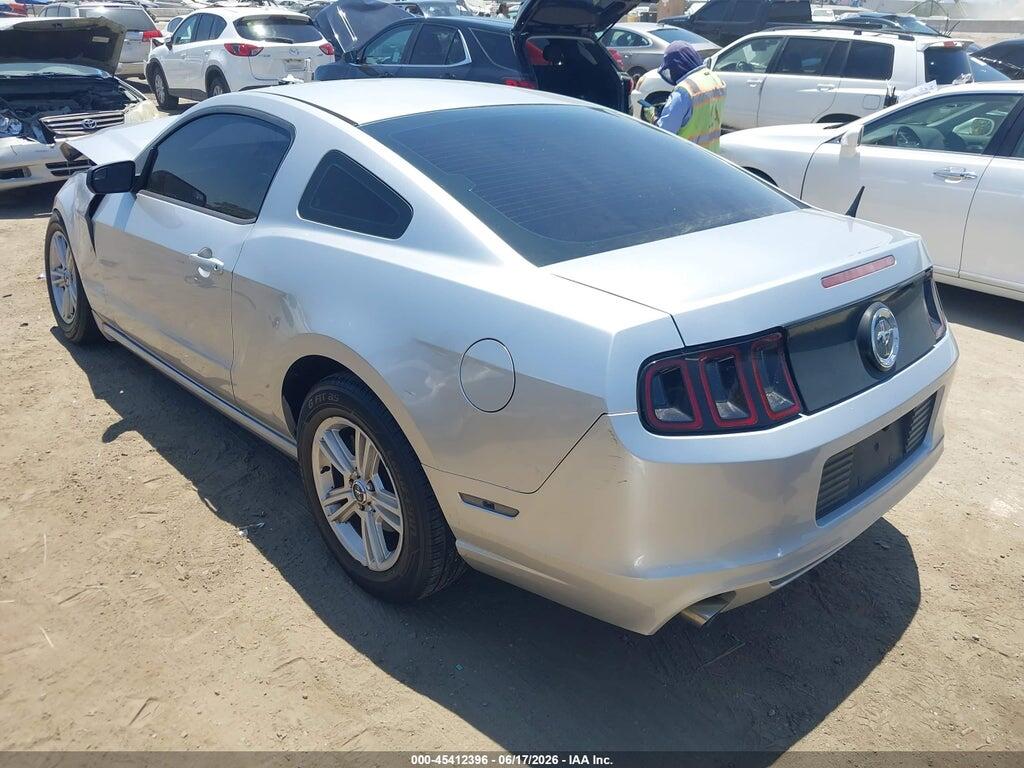 1ZVBP8AM4E5211407 2014 FORD MUSTANG photo no. 3