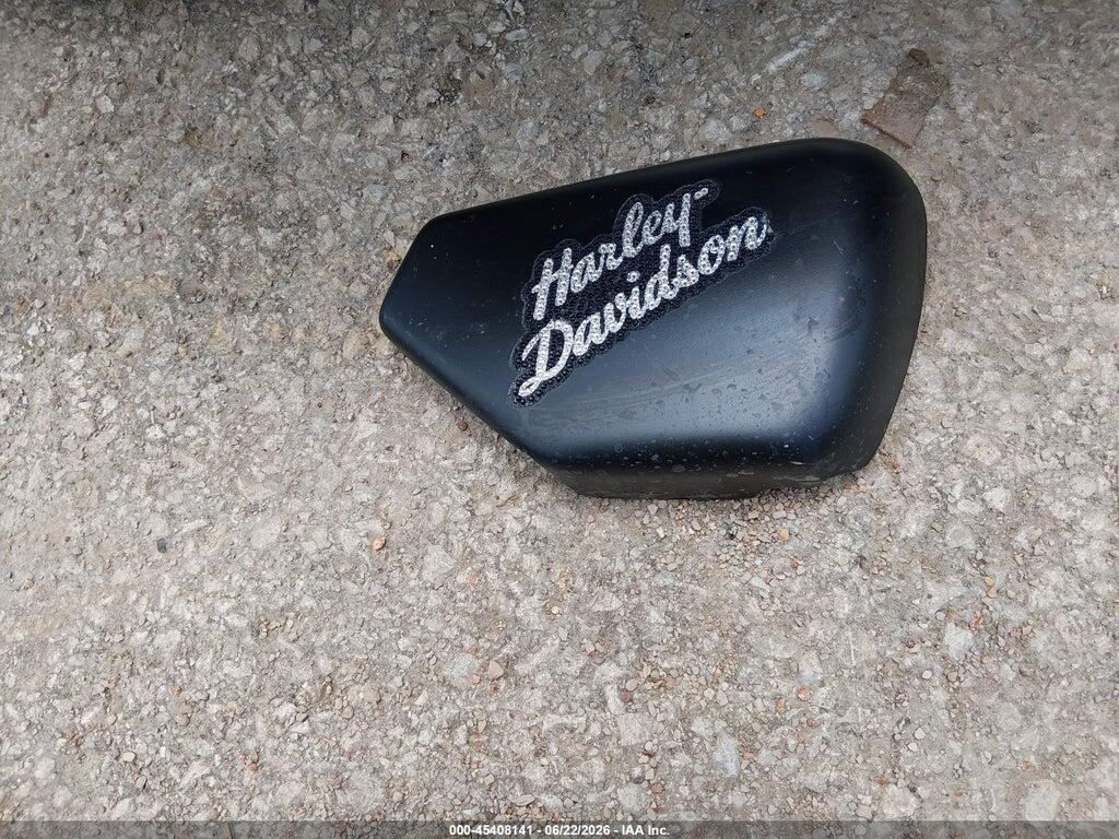 1HD1ZF111RB300232 2024 HARLEY-DAVIDSON RH975 photo no. 12