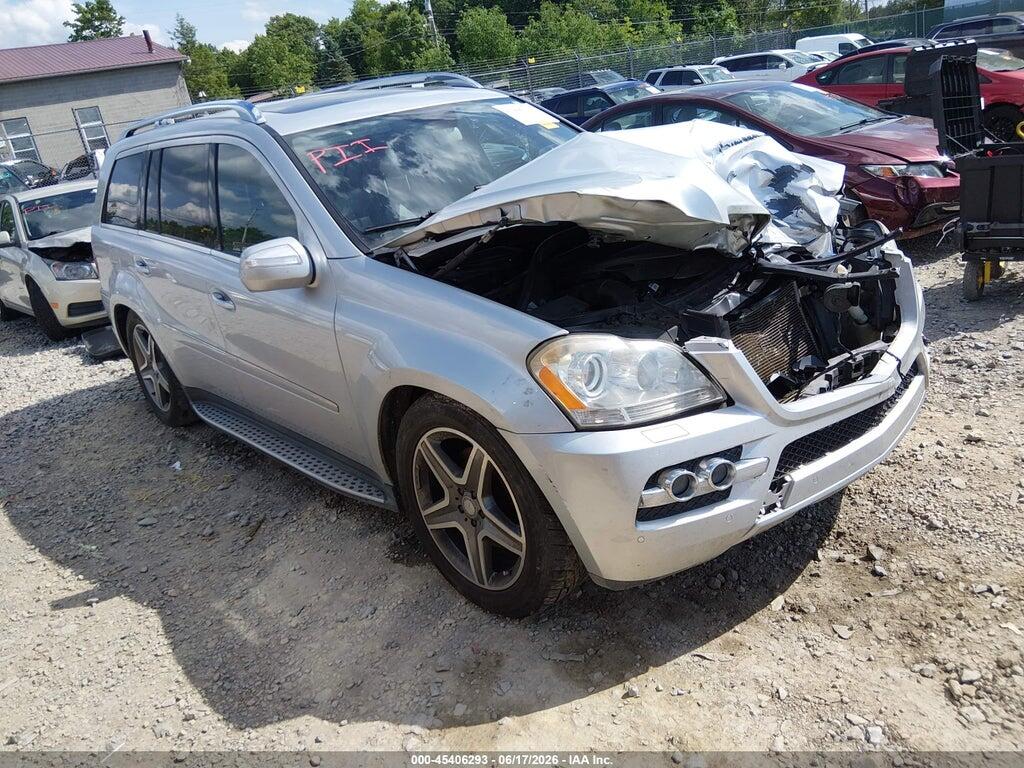 4JGBF7BE8AA619073 2010 MERCEDES-BENZ GL 450 photo no. 1
