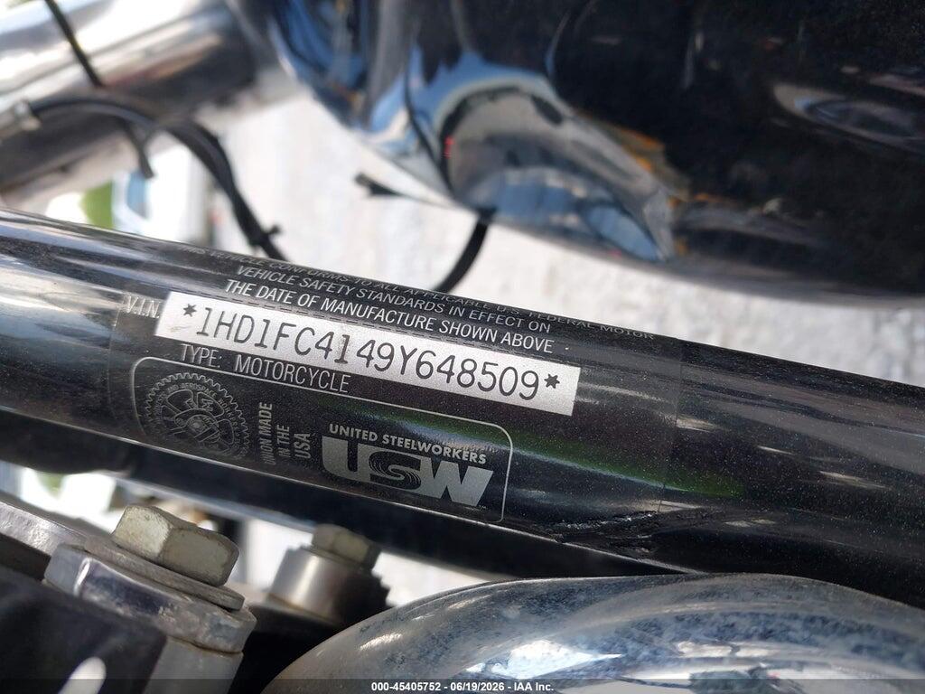 1HD1FC4149Y648509 2009 HARLEY-DAVIDSON FLHTCU photo no. 10