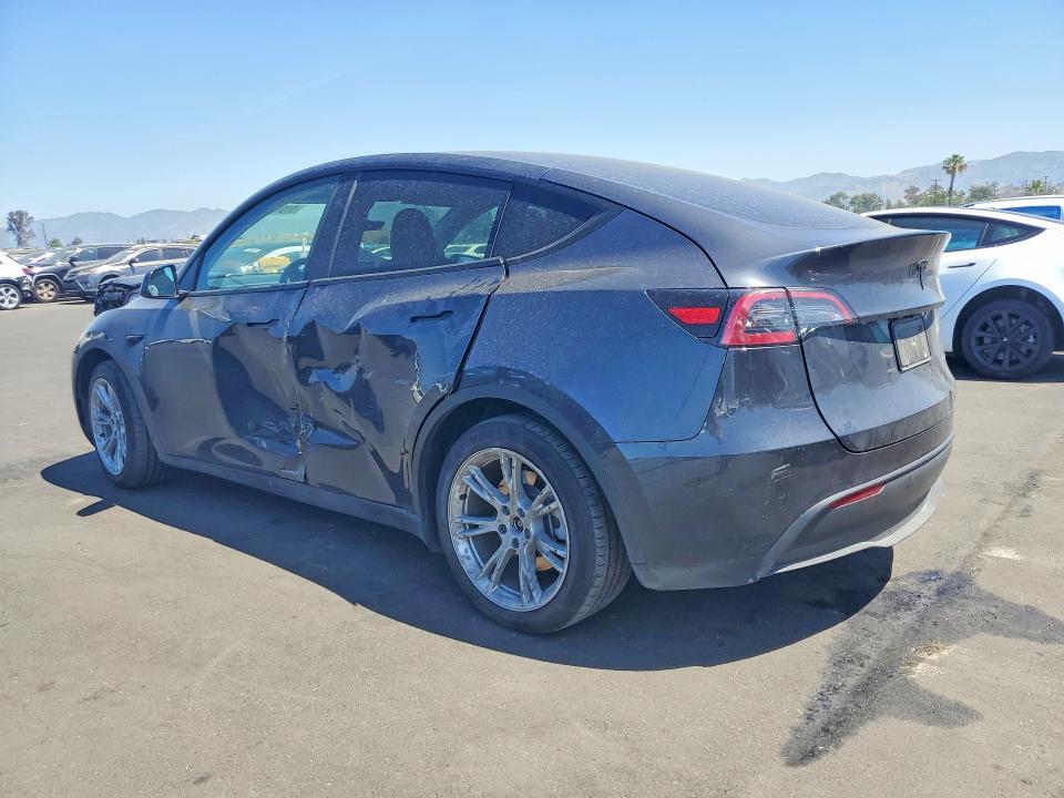2024 TESLA MODEL Y — Фото 2 из 13