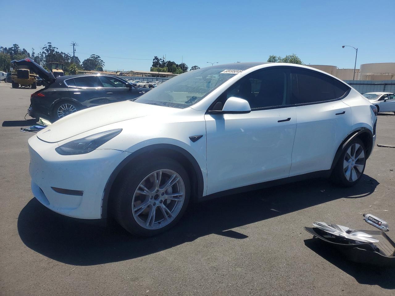 2024 TESLA Y 7SAYGDEE8RF006088