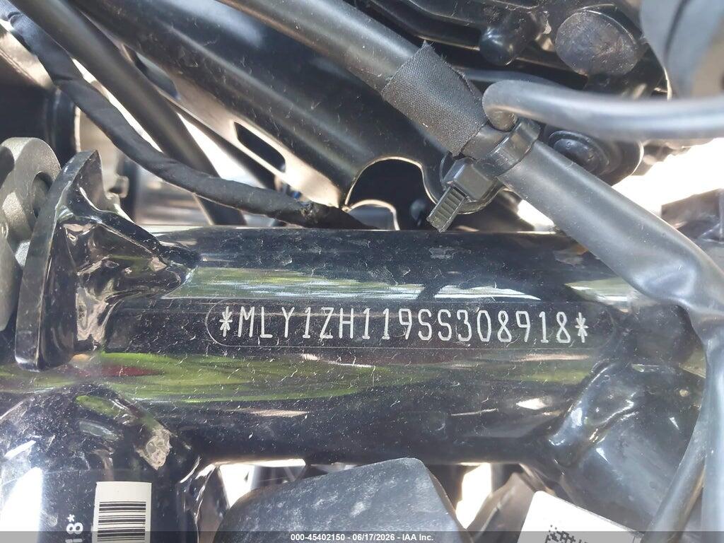 MLY1ZH119SS308918 2025 HARLEY-DAVIDSON RH975 photo no. 10