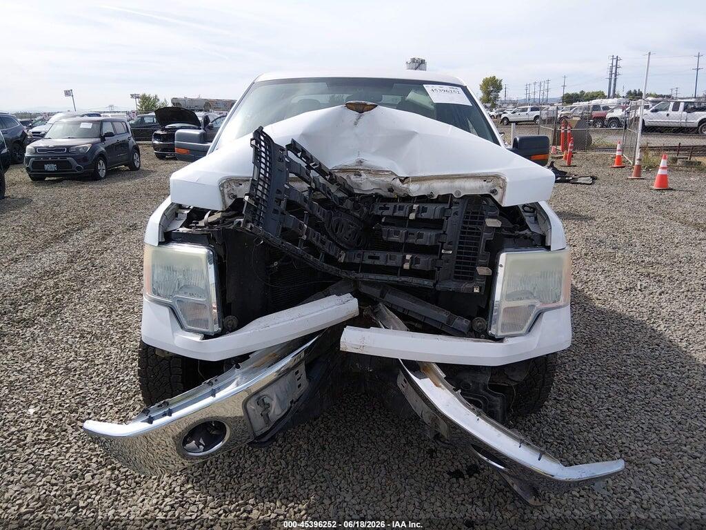 1FTFX1EV5AKB71140 2010 FORD F-150 photo no. 12