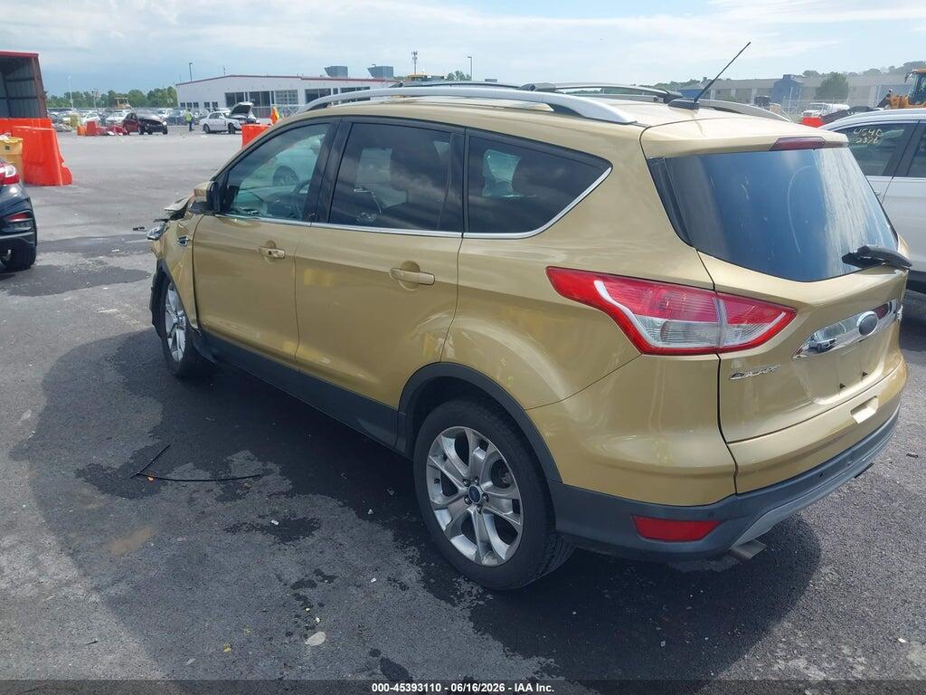 1FMCU0J97EUC44206 2014 FORD ESCAPE photo no. 3