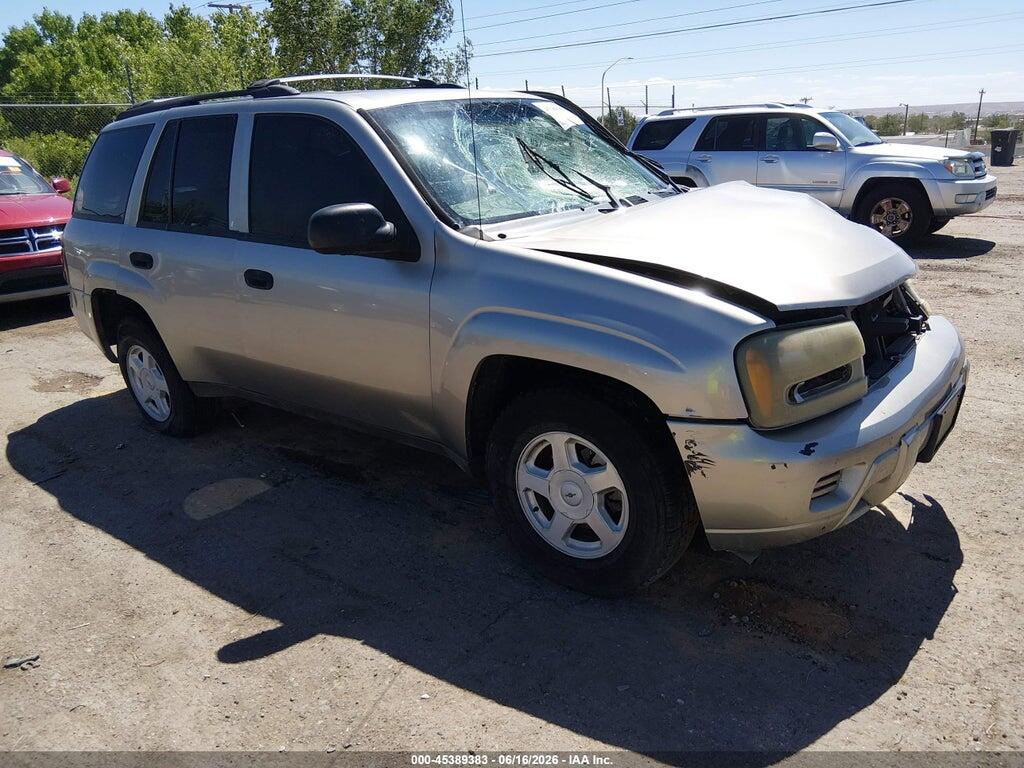 1GNDS13S822506253 2002 CHEVROLET TRAILBLAZER photo no. 1