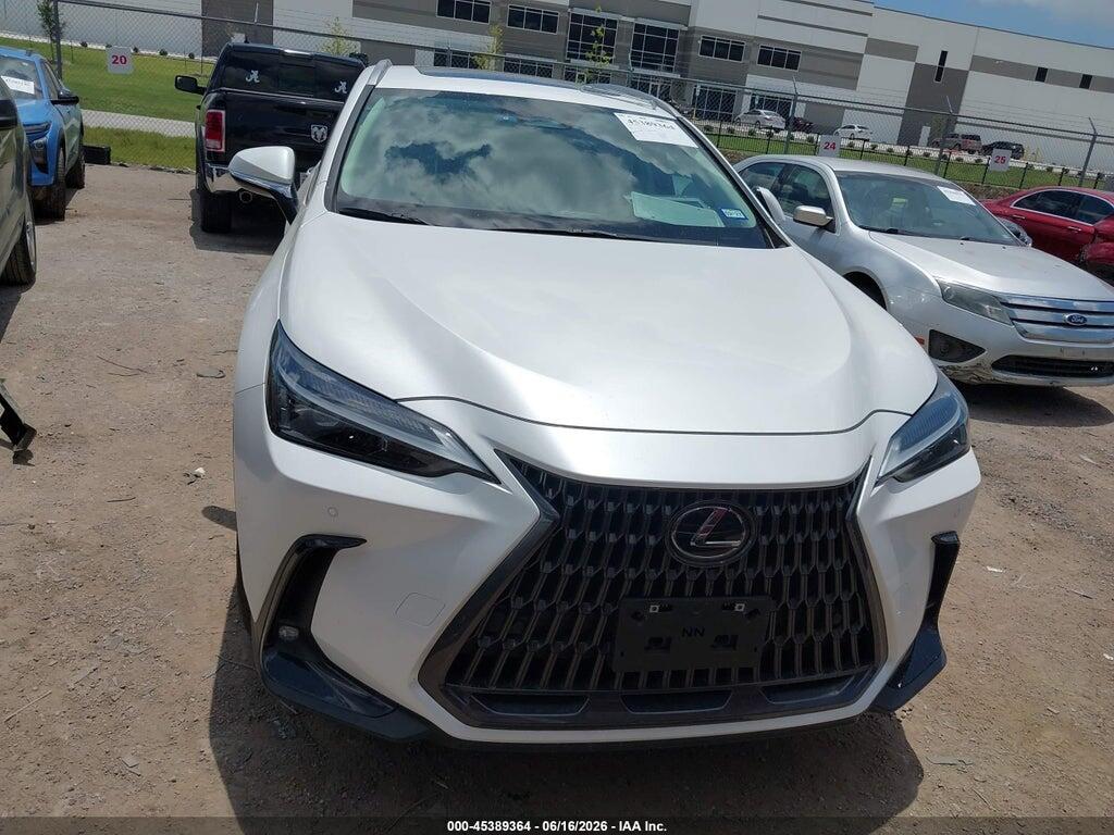 2T2GGCEZ5RC057151 2024 LEXUS NX 350 photo no. 12