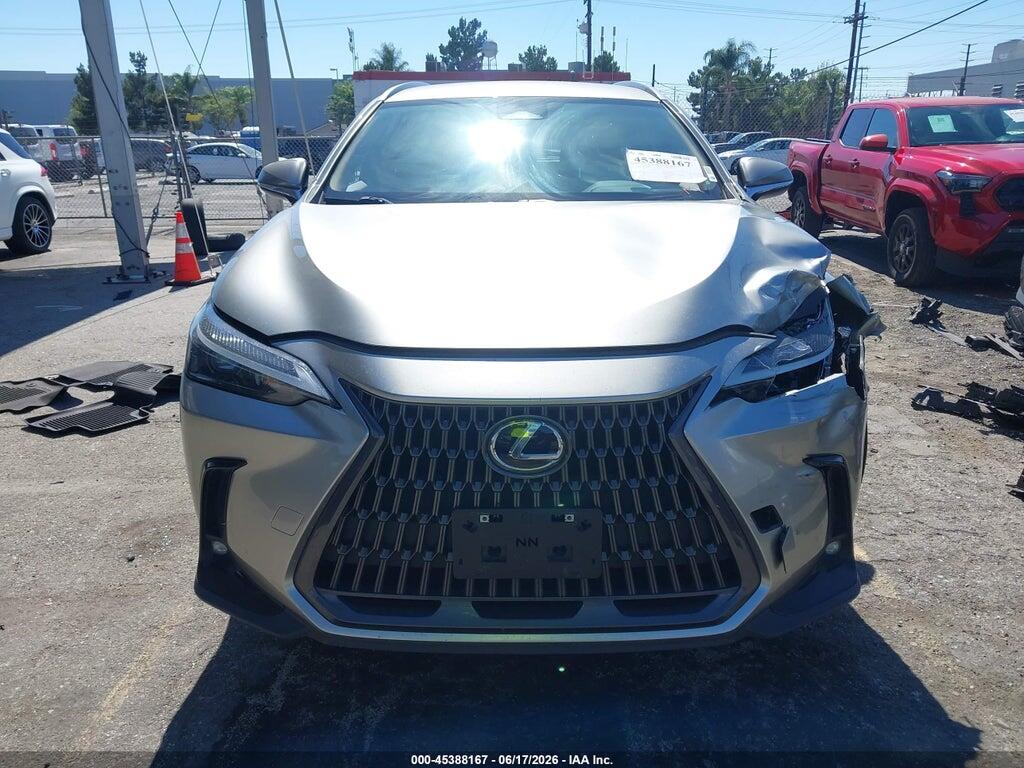JTJADCAZ6N5000146 2022 LEXUS NX 250 photo no. 12