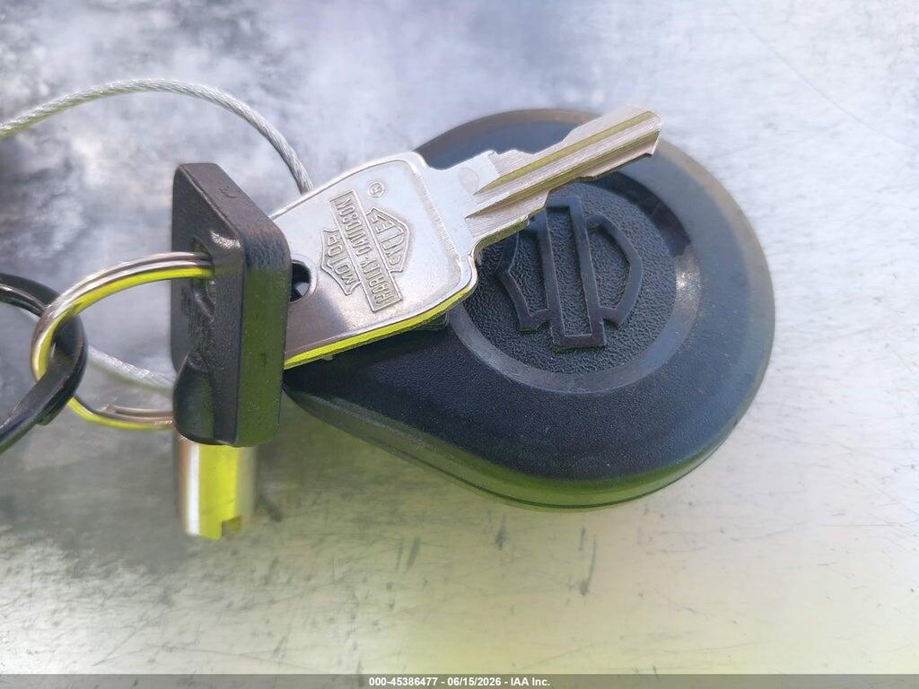 1HD1JDV37EB029548 2014 HARLEY-DAVIDSON FLSTN photo no. 11