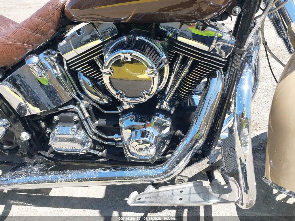 1HD1JDV37EB029548 2014 HARLEY-DAVIDSON FLSTN photo no. 8