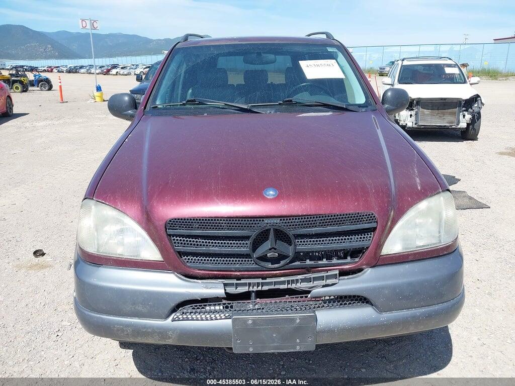 4JGAB54E5XA098718 1999 MERCEDES-BENZ ML 320 photo no. 12