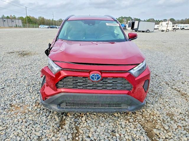 2024 TOYOTA RAV4 HYBRID XLE — Фото 5 из 13