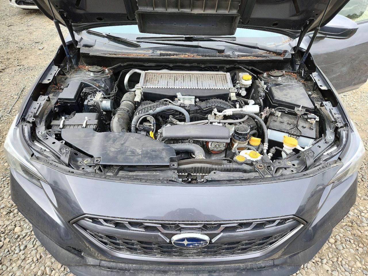2022 SUBARU WRX PREMIUM — Фото 11 из 12