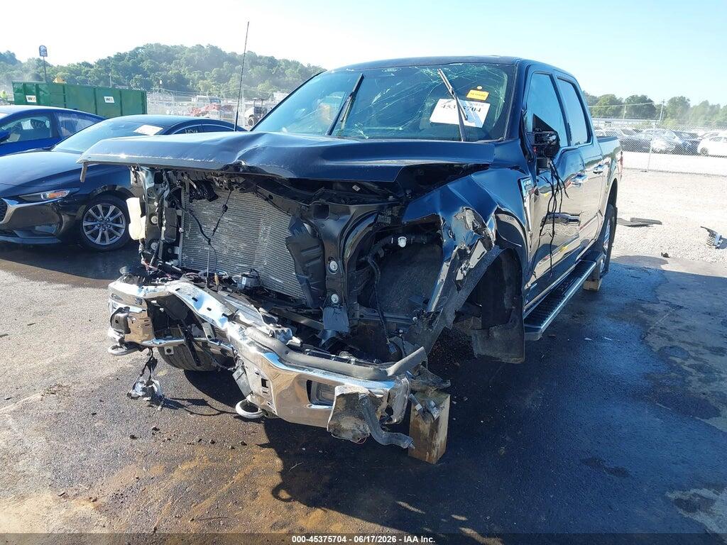 1FTFW5L85RFB04484 2024 FORD F-150 photo no. 6
