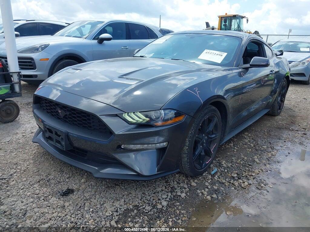1FA6P8TH3K5134177 2019 FORD MUSTANG photo no. 2