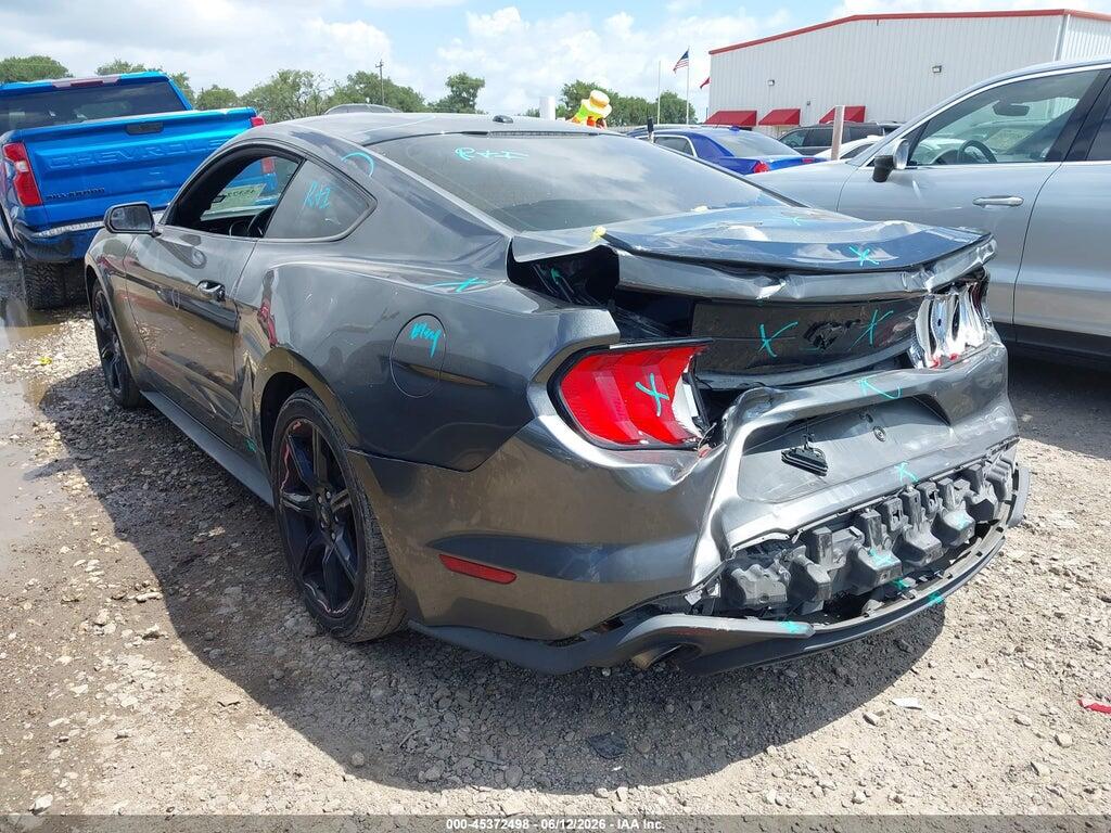 1FA6P8TH3K5134177 2019 FORD MUSTANG photo no. 3