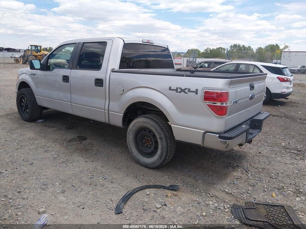 1FTEW1E84AFC53751 2010 FORD F-150 photo no. 3