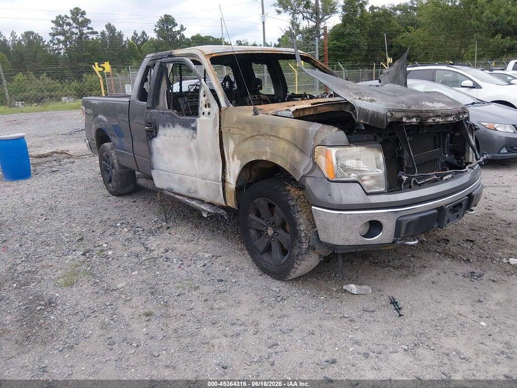 1FTFX1EF4DKD12597 2013 FORD F-150 photo no. 1